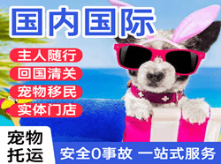 唐山机场托运国际宠物托运 【国